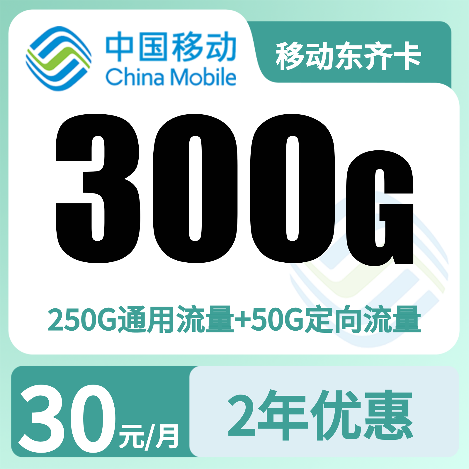 山东移动东齐卡 - 移动东齐卡30元300G+100分钟【只发山东】 - 流量卡免费办理