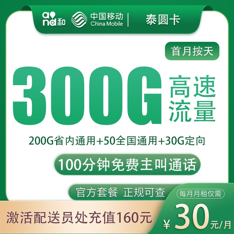 山东移动泰圆卡 - G1移动泰圆卡30元300G+100分钟【只发山东】 - 流量卡免费办理